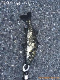 �����Х�