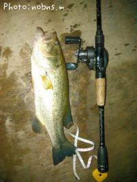 �֥�å��Х�