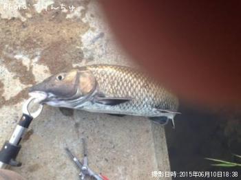 �����Х�