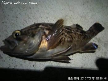 ¥¿¥±¥Î¥³¥á¥Ð¥ë