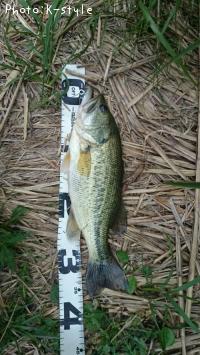 ¥Ö¥é¥Ã¥¯¥Ð¥¹¡¡