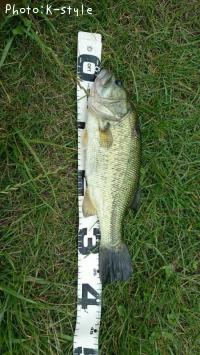 ¥Ö¥é¥Ã¥¯¥Ð¥¹¡¡