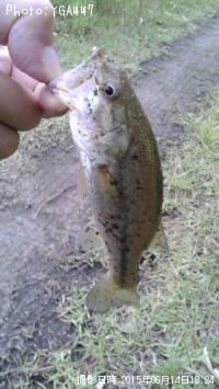 ¥Ö¥é¥Ã¥¯¥Ð¥¹