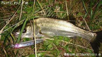 �����Х�