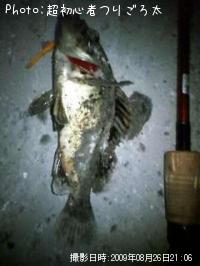 �٥å�������