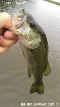 �֥�å��Х�