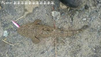�ޥ���