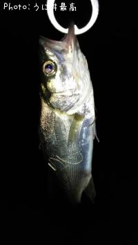 �����Х�