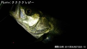 ��Х�������Х�