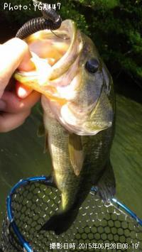 �֥�å��Х�