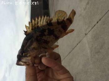 ¥¿¥±¥Î¥³¥á¥Ð¥ë