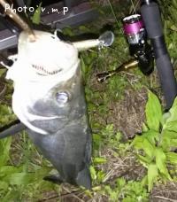 �����Х�