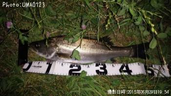 �����Х�