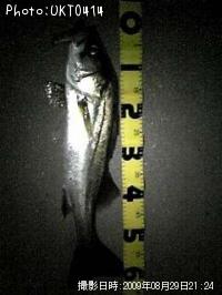 �����Х�