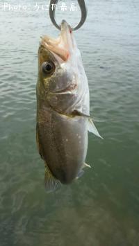 �����Х�