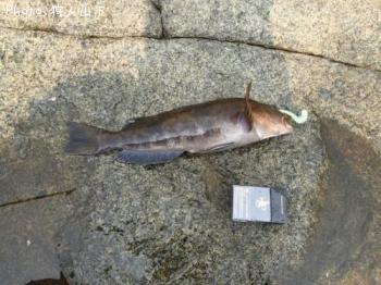 �����ʥ�