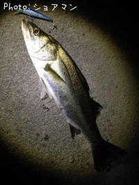 �����Х�