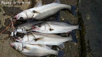 �����Х�