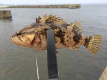 ¥¿¥±¥Î¥³¥á¥Ð¥ë