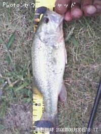 �֥�å��Х�