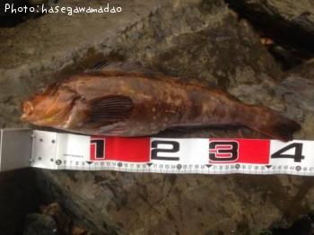 �����ʥ�