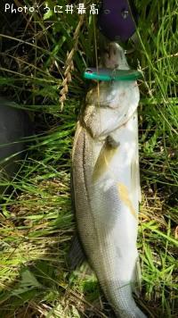 �����Х�