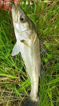 �����Х�