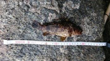 �����Υ���Х�