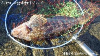 �����ʥ�