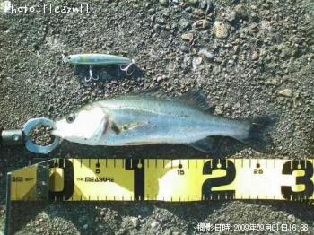 �����Х�