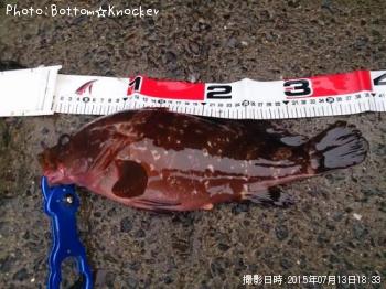 �����ϥ�