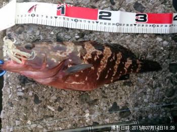 �����ϥ�