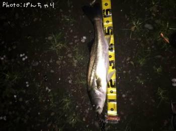 �����Х�