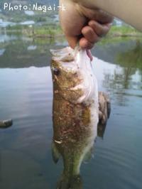 �֥�å��Х�