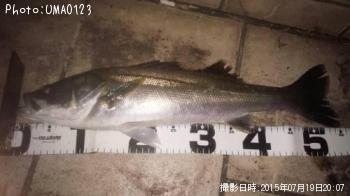 �����Х�