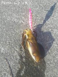 �����ꥤ��