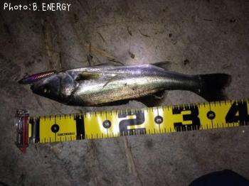 �����Х�