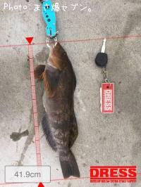 �����ʥ�