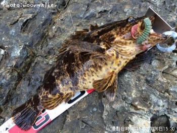 �٥å�������