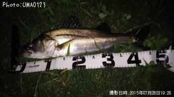 �����Х�