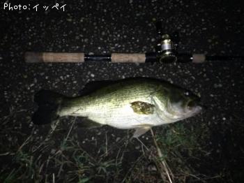 ¥Ö¥é¥Ã¥¯¥Ð¥¹