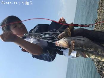 �����ʥ�