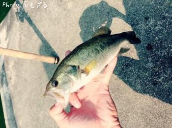 ¥Ö¥é¥Ã¥¯¥Ð¥¹