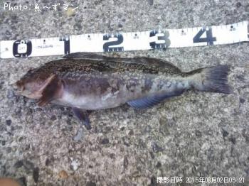 �����ʥ�