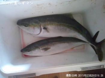 ¥ï¥é¥µ¤È¥Ò¥é¥á