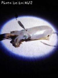 �����ꥤ��