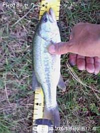 �֥�å��Х�