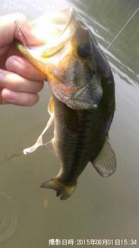 �֥�å��Х�