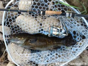 ���⡼��ޥ���