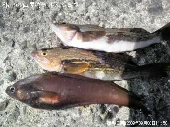 �����ʥᡡ�ɥ�